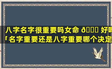 八字名字很重要吗女命 🐅 好吗「名字重要还是八字重要哪个决定命运的」